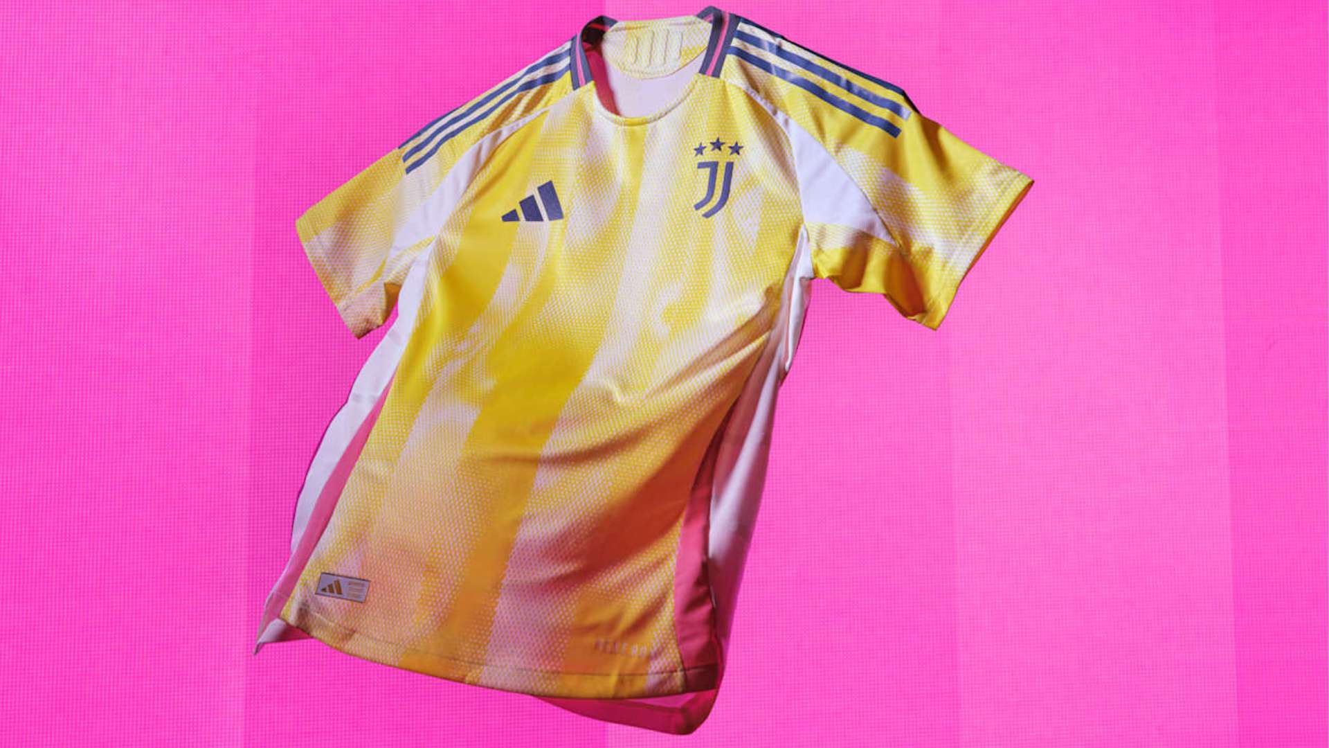 业化道路上 业化道路上